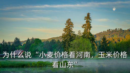 為什么說“小麥價格看河南，玉米價格看山東”