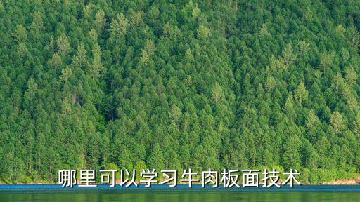 哪里可以學(xué)習(xí)牛肉板面技術(shù)