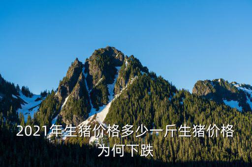 2021年生豬價格多少一斤生豬價格為何下跌
