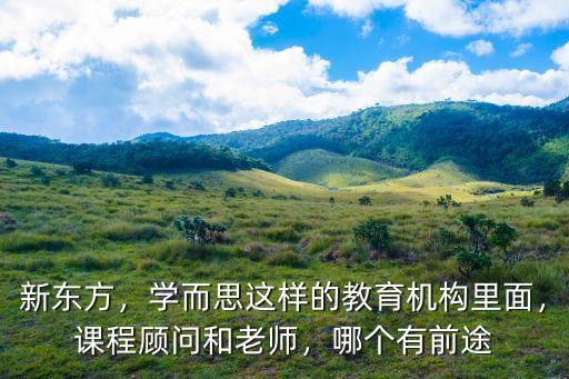 新東方，學(xué)而思這樣的教育機(jī)構(gòu)里面，課程顧問和老師，哪個(gè)有前途