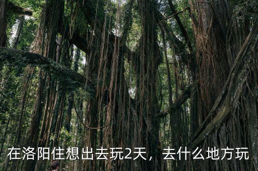 白居易住在洛陽哪里,在洛陽住想出去玩2天