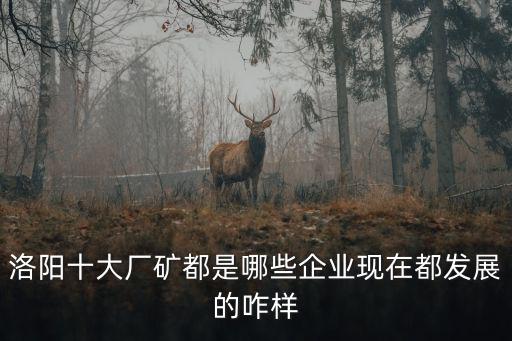 洛陽的廠礦在哪里,洛陽有哪些有名的企業