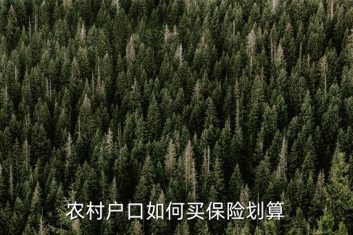 農村戶口如何買保險劃算