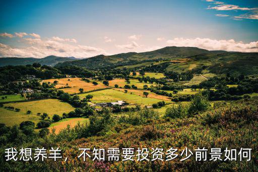 我想養羊，不知需要投資多少前景如何