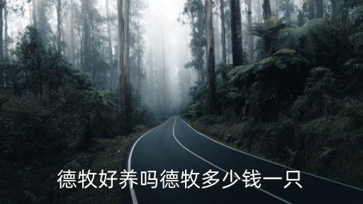 德牧好養嗎德牧多少錢一只