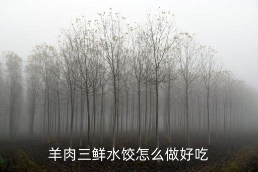 羊肉三鮮水餃怎么做好吃