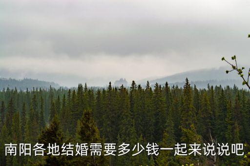 南陽(yáng)各地結(jié)婚需要多少錢(qián)一起來(lái)說(shuō)說(shuō)吧