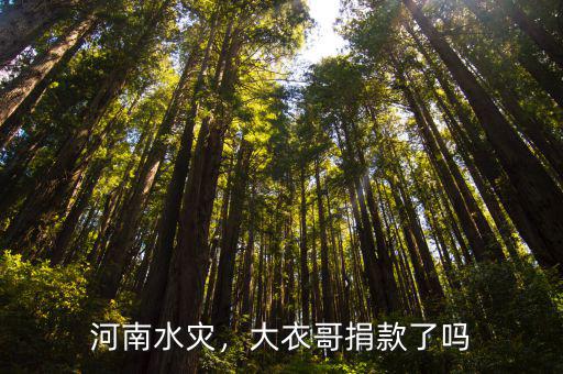 河南水災，大衣哥捐款了嗎