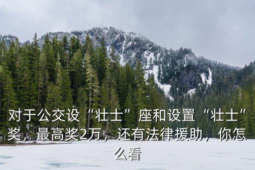 對于公交設“壯士”座和設置“壯士”獎，最高獎2萬，還有法律援助，你怎么看