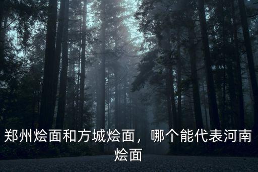 鄭州燴面和方城燴面，哪個能代表河南燴面