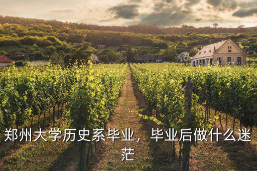 鄭州大學(xué)歷史系畢業(yè)，畢業(yè)后做什么迷茫