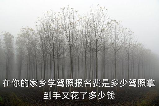 鶴壁學駕校多少錢,大家學完駕照多少錢