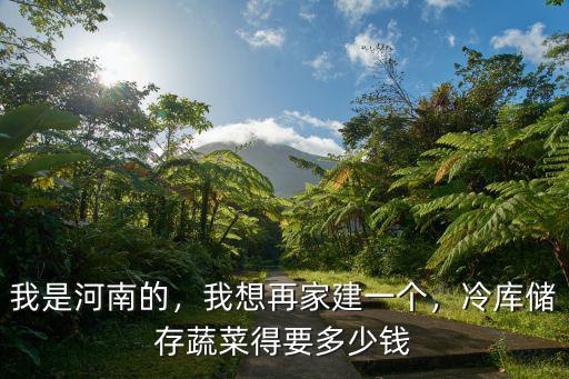 我是河南的，我想再家建一個，冷庫儲存蔬菜得要多少錢