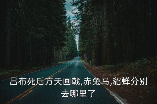 鄭州網(wǎng)紅方天畫戟最后去哪里了,貂蟬分別去哪里了