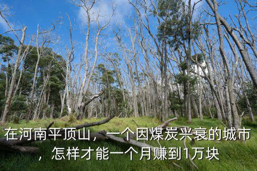 在河南平頂山，一個(gè)因煤炭興衰的城市，怎樣才能一個(gè)月賺到1萬塊