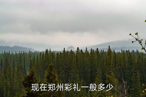 鄭州汽車多少錢一臺,公共汽車多少錢一輛