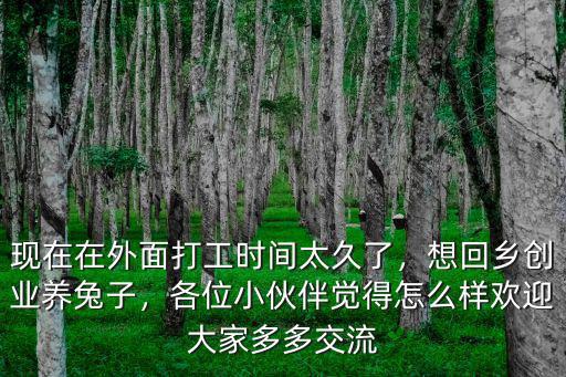 現(xiàn)在在外面打工時間太久了，想回鄉(xiāng)創(chuàng)業(yè)養(yǎng)兔子，各位小伙伴覺得怎么樣歡迎大家多多交流