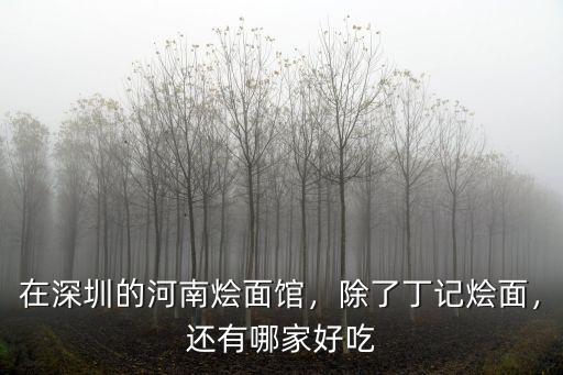 在深圳的河南燴面館，除了丁記燴面，還有哪家好吃