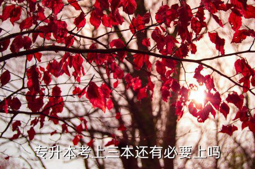 專升本考上三本還有必要上嗎