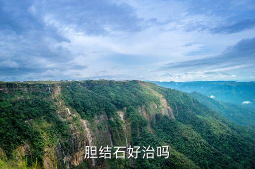 膽結石好治嗎