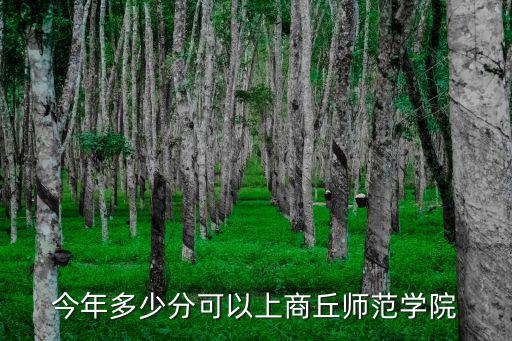 今年多少分可以上商丘師范學院