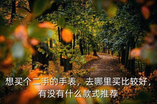 想買個二手的手表，去哪里買比較好，有沒有什么款式推薦