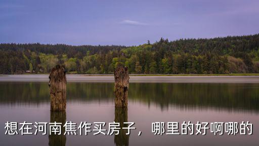 想在河南焦作買房子，哪里的好啊哪的