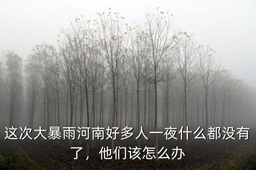 這次大暴雨河南好多人一夜什么都沒有了，他們該怎么辦
