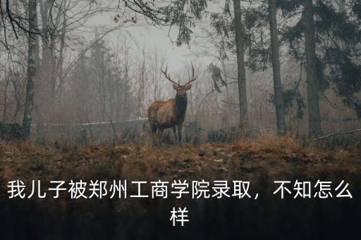 我兒子被鄭州工商學(xué)院錄取，不知怎么樣