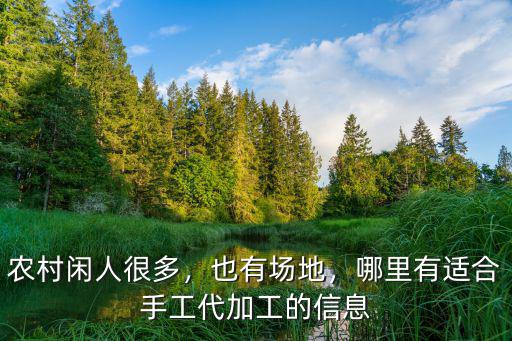 農(nóng)村閑人很多，也有場地，哪里有適合手工代加工的信息