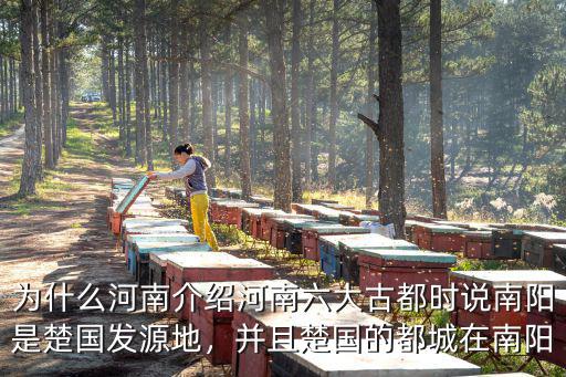 南陽銅礦在哪里,中國兩大銅生產(chǎn)基地在哪里