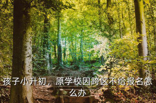 孩子小升初，原學(xué)校因跨區(qū)不給報(bào)名怎么辦