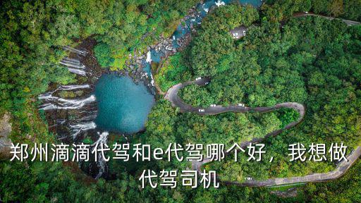 鄭州滴滴代駕和e代駕哪個(gè)好，我想做代駕司機(jī)
