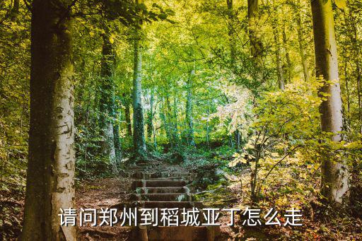 請問鄭州到稻城亞丁怎么走