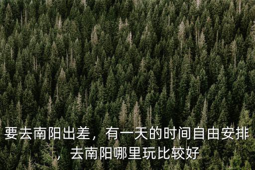 要去南陽出差，有一天的時間自由安排，去南陽哪里玩比較好