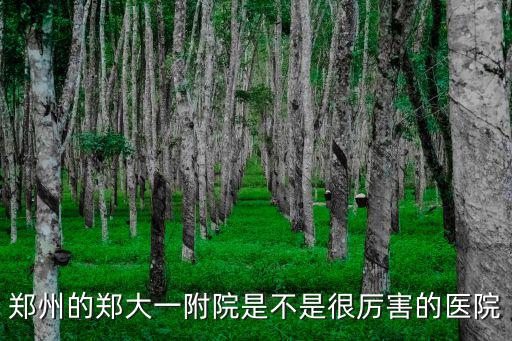 鄭州的鄭大一附院是不是很厲害的醫院