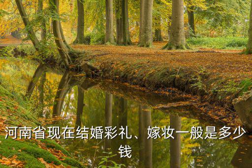 河南商丘寧陵縣結(jié)婚彩禮多少錢,你結(jié)婚時(shí)的彩禮花費(fèi)了多少錢