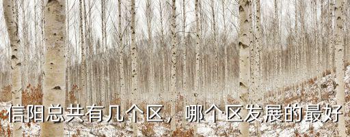 信陽總共有幾個區，哪個區發展的最好