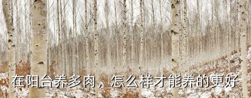 東南陽臺夏季多肉怎么養(yǎng),夏天在封閉式陽臺怎么養(yǎng)多肉