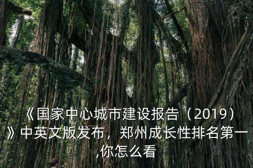 《國家中心城市建設(shè)報(bào)告（2019）》中英文版發(fā)布，鄭州成長性排名第一,你怎么看