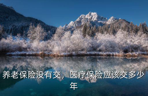 養老保險沒有交，醫療保險應該交多少年
