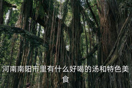 南陽(yáng)市哪里做的魚好吃,南陽(yáng)有什么好吃的美食