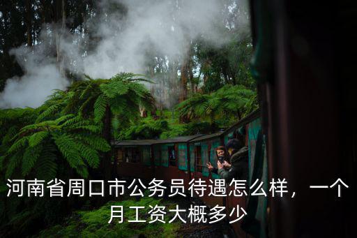 河南省周口市公務員待遇怎么樣，一個月工資大概多少