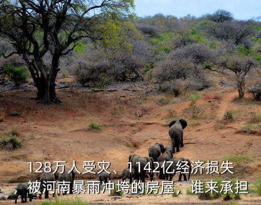 128萬人受災、1142億經濟損失，被河南暴雨沖垮的房屋，誰來承擔