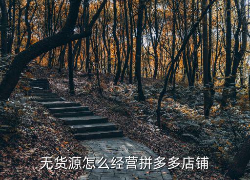 無貨源怎么經(jīng)營拼多多店鋪