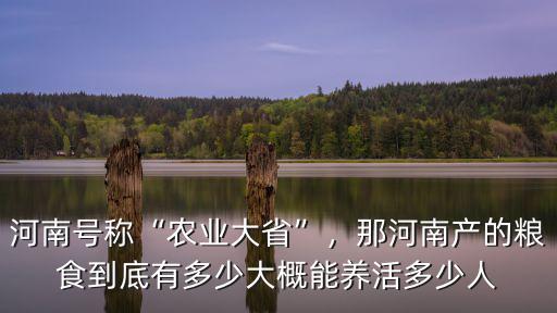 河南號稱“農業大省”，那河南產的糧食到底有多少大概能養活多少人