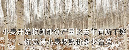 駐馬店小麥收割多少錢,一畝地收割費用多少錢