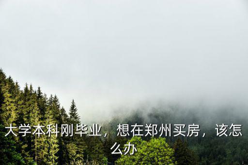 大學本科剛畢業，想在鄭州買房，該怎么辦