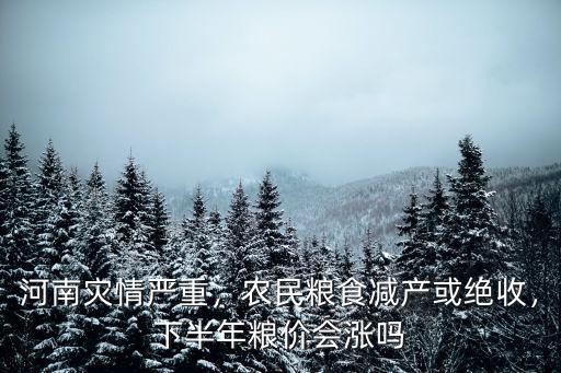 河南災(zāi)情嚴(yán)重，農(nóng)民糧食減產(chǎn)或絕收，下半年糧價(jià)會(huì)漲嗎