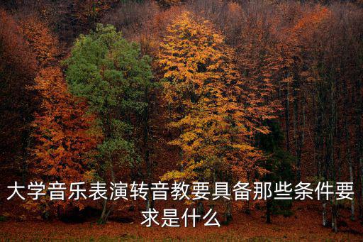 焦作大學音樂表演怎么樣,聲樂表演專業怎么樣